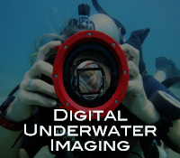 PADI Digital Underwater Imaging